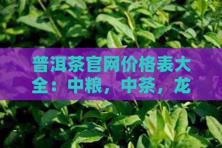 普洱茶官网价格表大全：中粮，中茶，龙园号报价