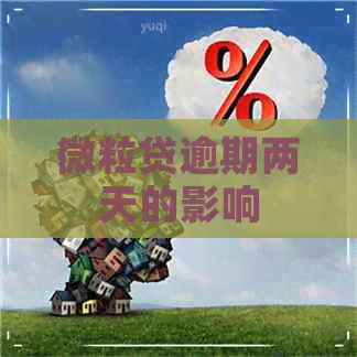 微粒贷逾期两天的影响