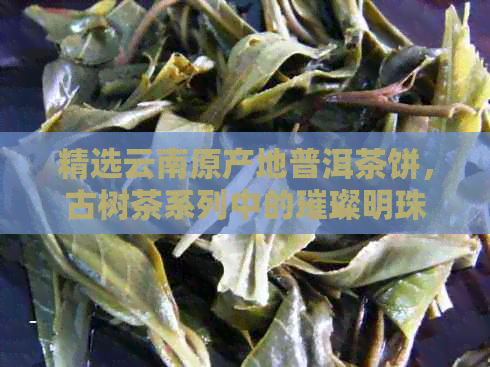 精选云南原产地普洱茶饼，古树茶系列中的璀璨明珠