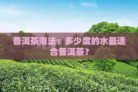 普洱茶泡法：多少度的水最适合普洱茶？