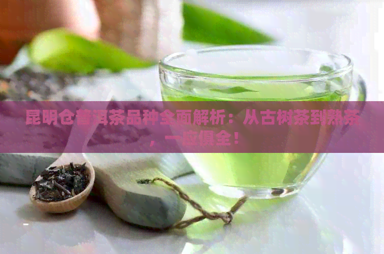 昆明仓普洱茶品种全面解析：从古树茶到熟茶，一应俱全！