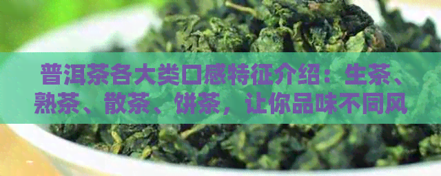 普洱茶各大类口感特征介绍：生茶、熟茶、散茶、饼茶，让你品味不同风味！