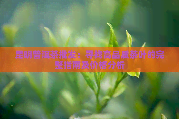 昆明普洱茶批发：寻找高品质茶叶的完整指南及价格分析