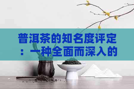 普洱茶的知名度评定：一种全面而深入的分析方法