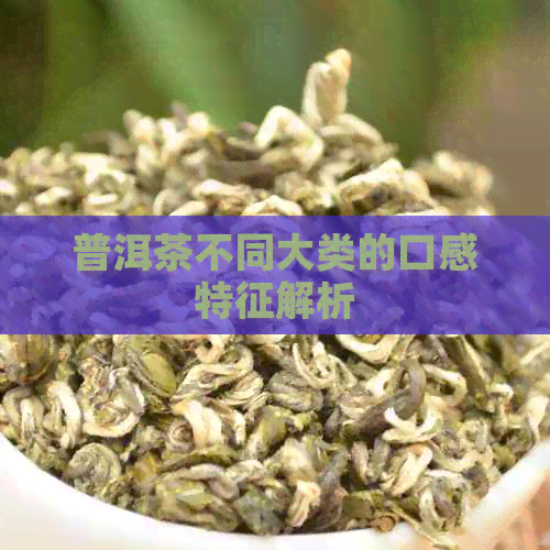 普洱茶不同大类的口感特征解析