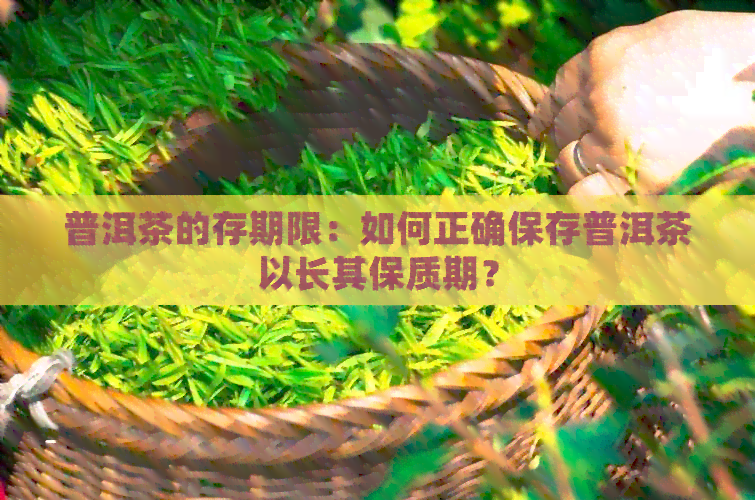 普洱茶的存期限：如何正确保存普洱茶以长其保质期？