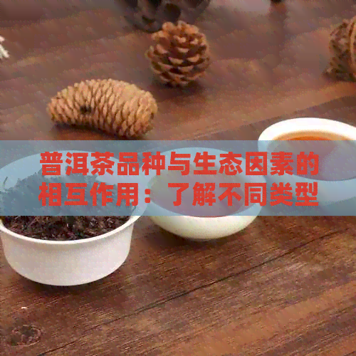 普洱茶品种与生态因素的相互作用：了解不同类型茶叶的生长条件与品质关联