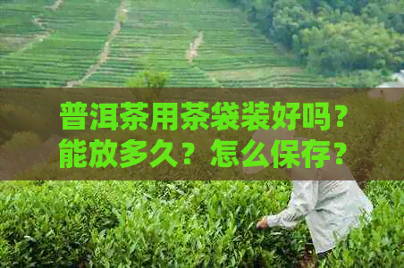 普洱茶用茶袋装好吗？能放多久？怎么保存？怎么泡？