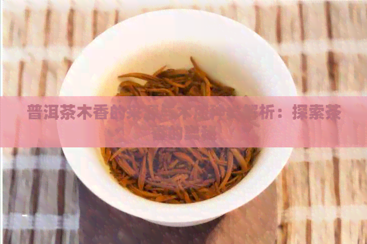 普洱茶木香的来源与木质种类解析：探索茶香的奥秘