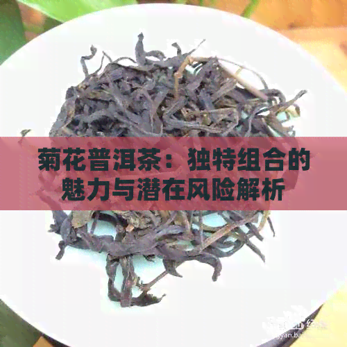 菊花普洱茶：独特组合的魅力与潜在风险解析