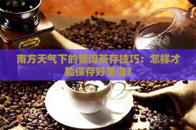 南方天气下的普洱茶存技巧：怎样才能保存好普洱？