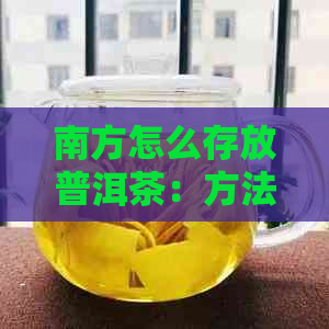 南方怎么存放普洱茶：方法与注意事项