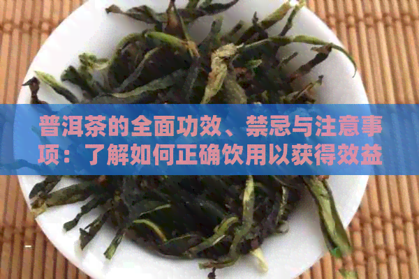 普洱茶的全面功效、禁忌与注意事项：了解如何正确饮用以获得效益