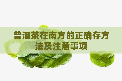 普洱茶在南方的正确存方法及注意事项