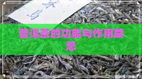 普洱茶的功能与作用禁忌