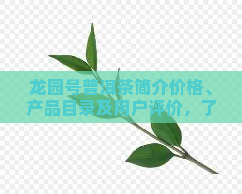 龙园号普洱茶简介价格、产品目录及用户评价，了解龙园号的品质和口碑