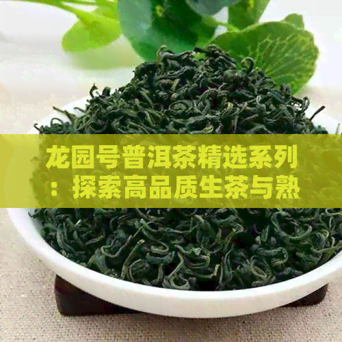 龙园号普洱茶精选系列：探索高品质生茶与熟茶的完美融合