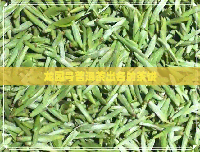 龙园号普洱茶出名的茶饼