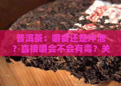 普洱茶：嚼食还是冲泡？直接嚼会不会有？关于普洱茶的全面解读