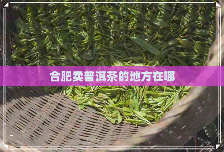 合肥卖普洱茶的地方在哪