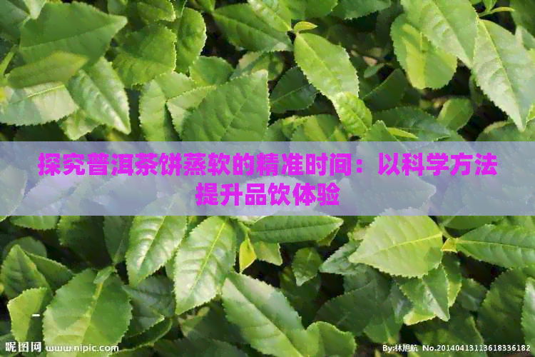 探究普洱茶饼蒸软的精准时间：以科学方法提升品饮体验