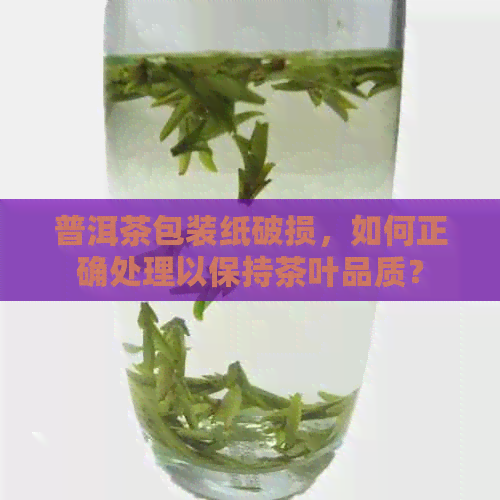 普洱茶包装纸破损，如何正确处理以保持茶叶品质？