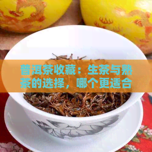 普洱茶收藏：生茶与熟茶的选择，哪个更适合您？