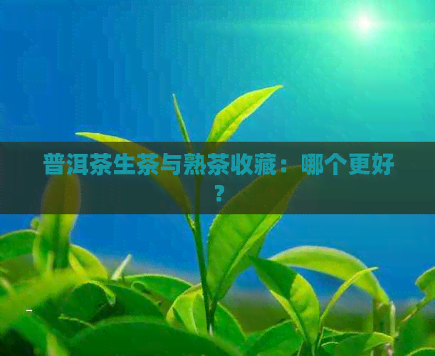 普洱茶生茶与熟茶收藏：哪个更好？