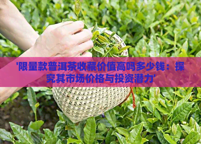 '限量款普洱茶收藏价值高吗多少钱：探究其市场价格与投资潜力'