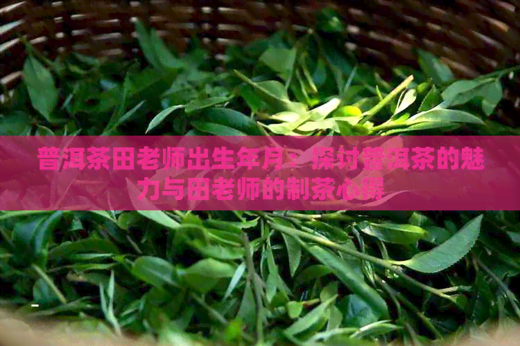 普洱茶田老师出生年月：探讨普洱茶的魅力与田老师的制茶心得