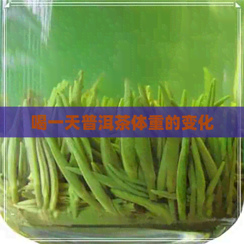 喝一天普洱茶体重的变化