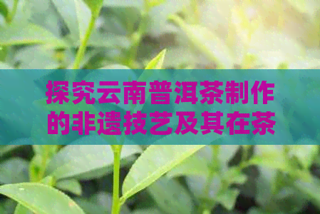 探究云南普洱茶制作的非遗技艺及其在茶文化中的地位