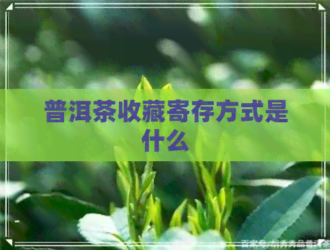 普洱茶收藏寄存方式是什么