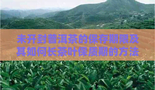 未开封普洱茶的保存期限及其如何长茶叶保质期的方法