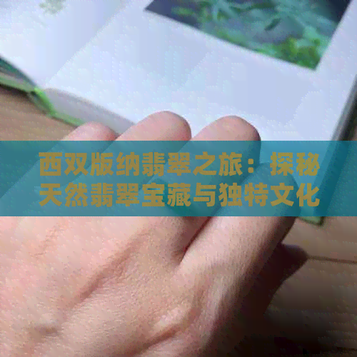 西双版纳翡翠之旅：探秘天然翡翠宝藏与独特文化