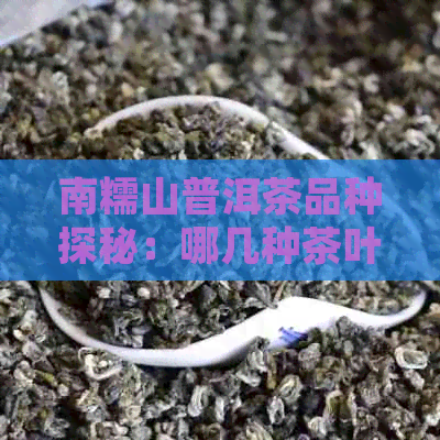 南糯山普洱茶品种探秘：哪几种茶叶值得一品？