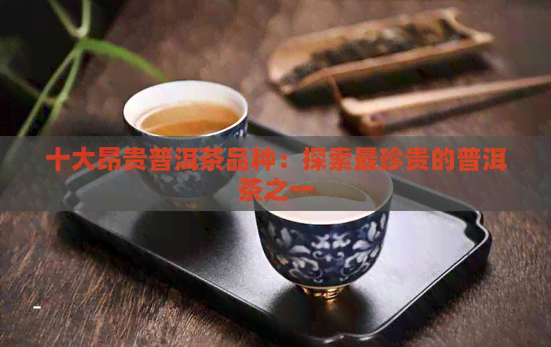 十大昂贵普洱茶品种：探索最珍贵的普洱茶之一