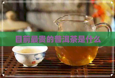 目前最贵的普洱茶是什么