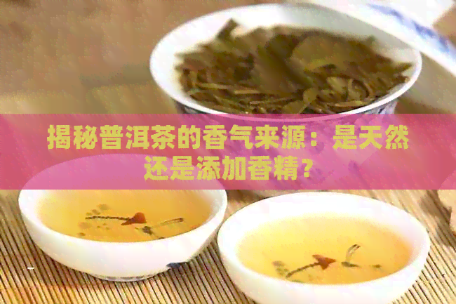 揭秘普洱茶的香气来源：是天然还是添加香精？