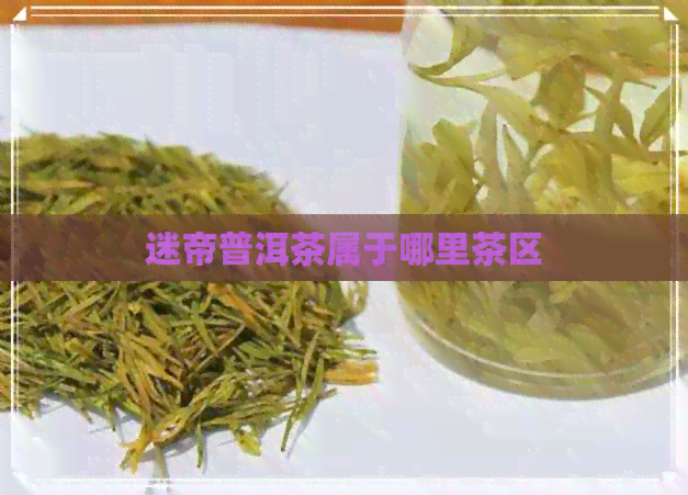 迷帝普洱茶属于哪里茶区