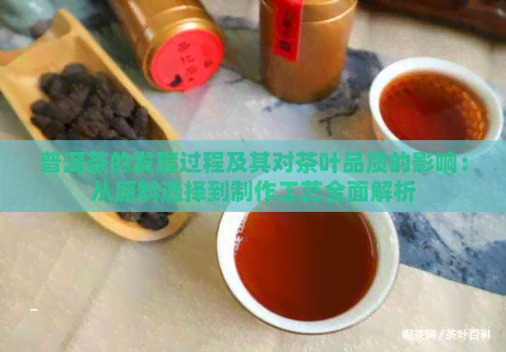 普洱茶的发酵过程及其对茶叶品质的影响：从原料选择到制作工艺全面解析