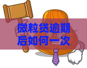 微粒贷逾期后如何一次性还清全款？全面解答逾期还款及释放全款相关问题