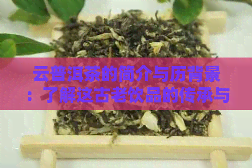 云普洱茶的简介与历背景：了解这古老饮品的传承与发展