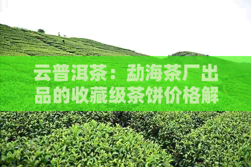 云普洱茶：勐海茶厂出品的收藏级茶饼价格解析