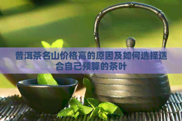 普洱茶名山价格高的原因及如何选择适合自己预算的茶叶