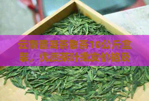 云南普洱茶散茶10公斤盒装，优质茶叶批发价格及采购