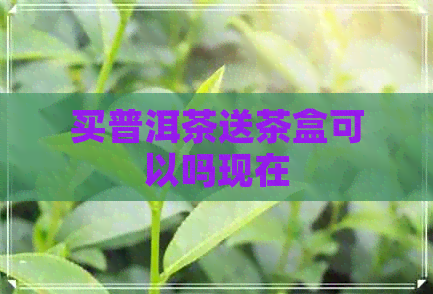 买普洱茶送茶盒可以吗现在