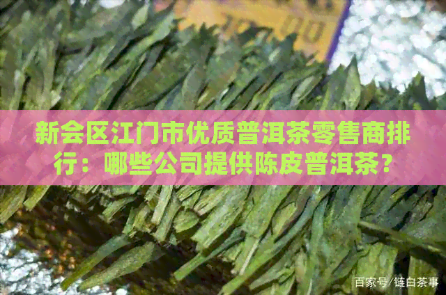 新会区江门市优质普洱茶零售商排行：哪些公司提供陈皮普洱茶？