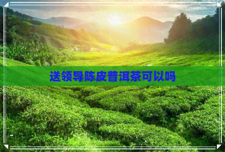 送领导陈皮普洱茶可以吗