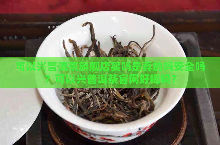 可以兴普洱茶旗舰店买吗是真的吗安全吗？可以兴普洱茶官网好喝吗？